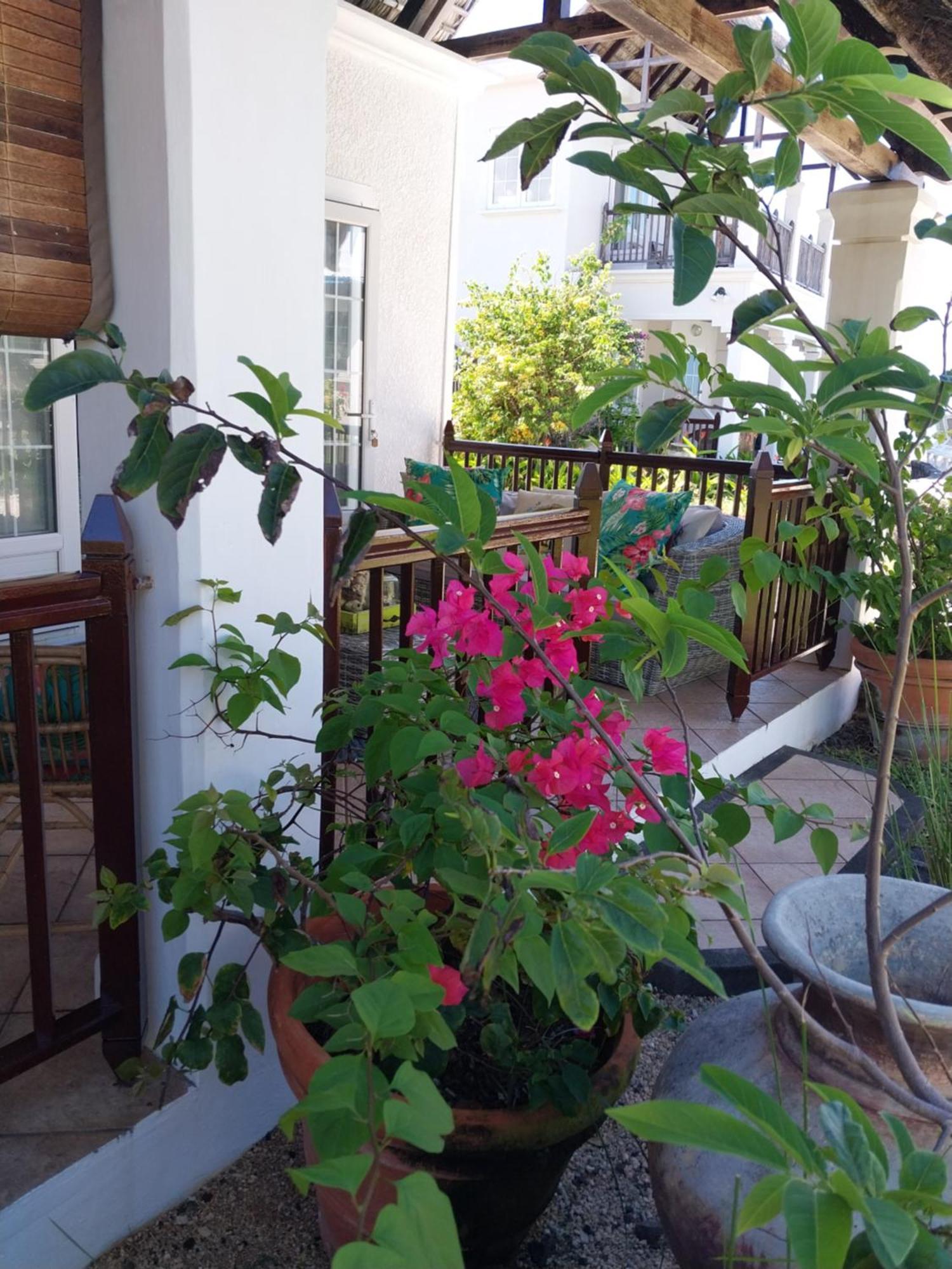 Chillpill Guest House Mahébourg Zewnętrze zdjęcie